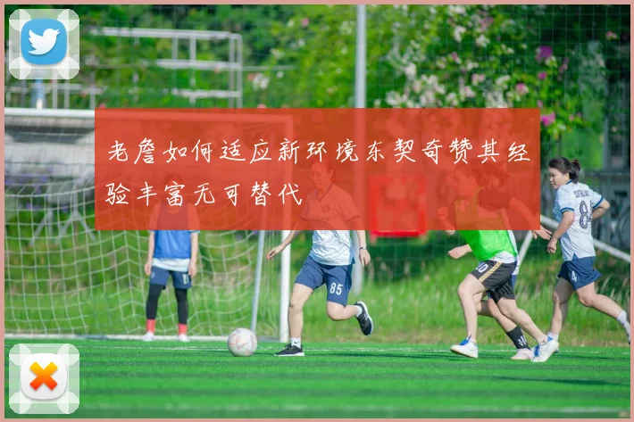 老詹如何适应新环境东契奇赞其经验丰富无可替代